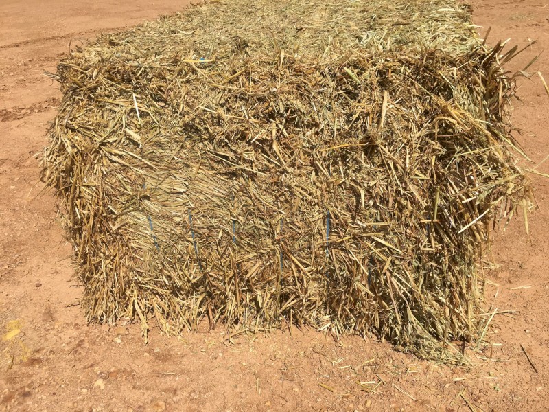 Oaten Hay 700kg 8x4x3 Bales (2020)