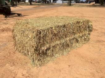 Oaten Hay 700kg 8x4x3 Bales (2020)