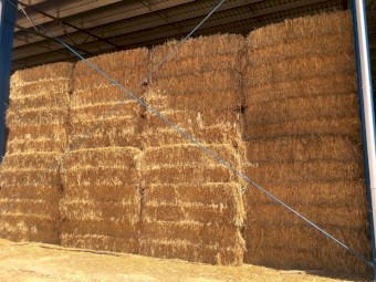 Oaten Hay 700kg 8x4x3 Bales (2020)