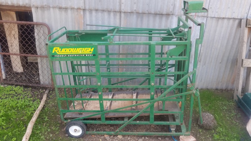 Ruddweigh Sheep Weigh Crate