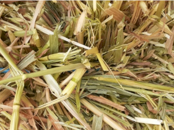 35mt Oaten Hay 8x4x3 Bales (Under Hay Caps)