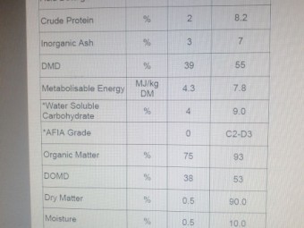 Oats Vetch Mix Hay 8x4x3 Bales