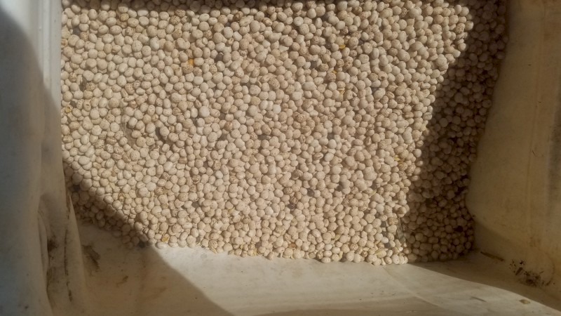 20 tonne Bateman Lupins