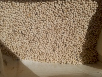 20 tonne Bateman Lupins