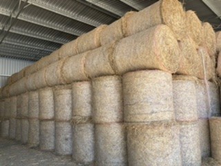 Oaten Hay 4x4 Round Rolls
