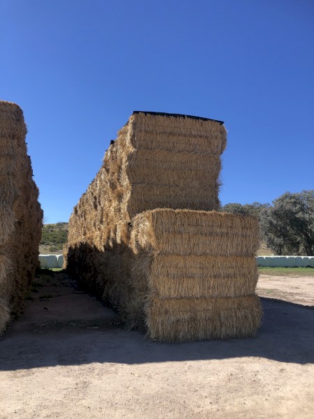 700mt Wheaten Straw 450kg + 8x4x3 Bales