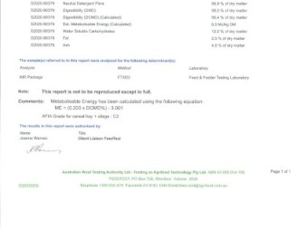 240 x Oaten Hay 440kg (app)  5x4 Rolls