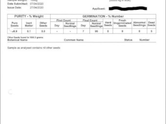 Spartacus CL Barley seed