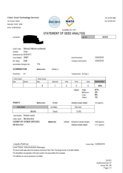 30mt Oryx Wheat Seed