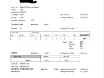 30mt Oryx Wheat Seed