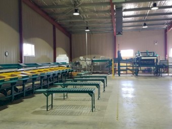 Pianokey Fruit and Vegetable Grader for Sale