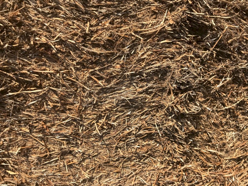 600mt New Season Vetch Hay 600kg 8x4x3 Bales