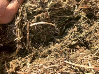 600mt New Season Vetch Hay 600kg 8x4x3 Bales