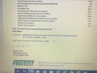 600mt New Season Vetch Hay 600kg 8x4x3 Bales