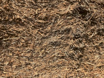 600mt New Season Vetch Hay 600kg 8x4x3 Bales