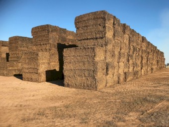 600mt New Season Vetch Hay 600kg 8x4x3 Bales