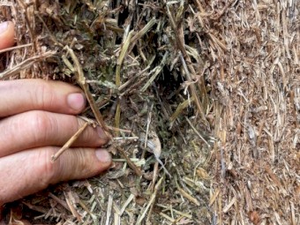 Vetch Hay 8x4x3 Bales