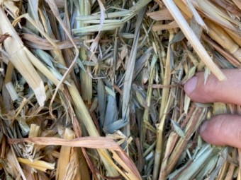 Oaten Hay 8x3x3 Bales