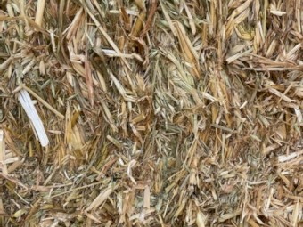 Oaten Hay 8x3x3 Bales