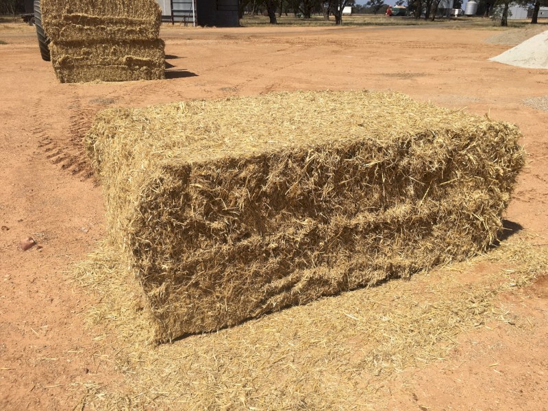 Barley Straw 8x4x3