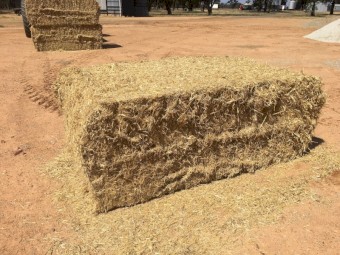 Barley Straw 8x4x3