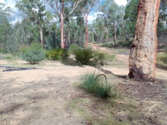 Residential Farmland Unwooded Investment/Weekender...