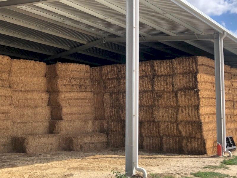 700mt Lucerne Hay 8x4x3 Bales