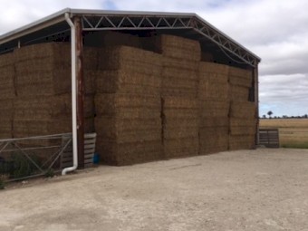 120 Vetch Hay 8x4x3 Bales