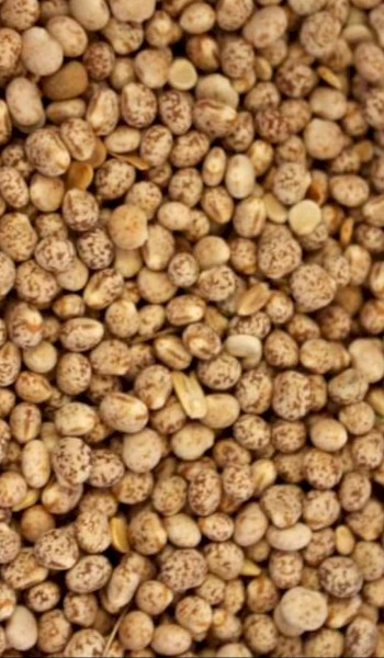 Bulka Bags of Lupins