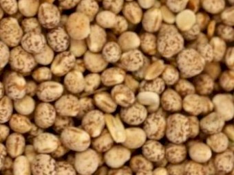 Bulka Bags of Lupins