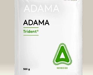 Trident 500g