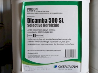 Dicamba 10L