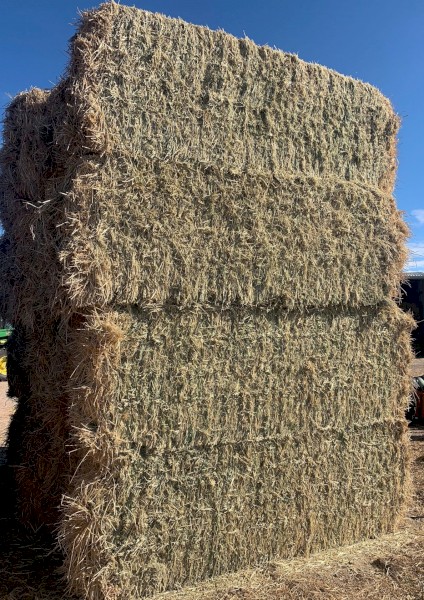 Rye Grass Hay 550Kg 8x4x3 Bales | Farm Tender