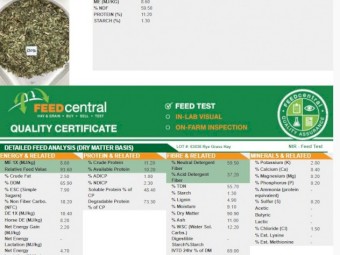 Rye Grass Hay 550Kg 8x4x3 Bales