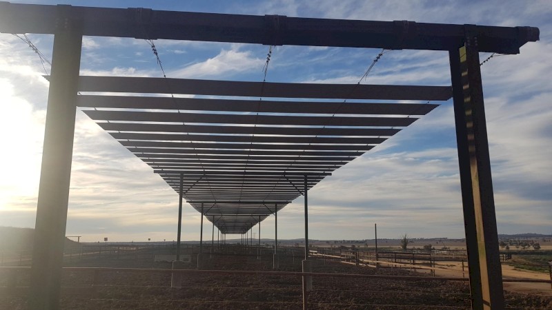 Feedlot Shade Structure