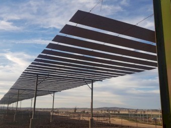 Feedlot Shade Structure