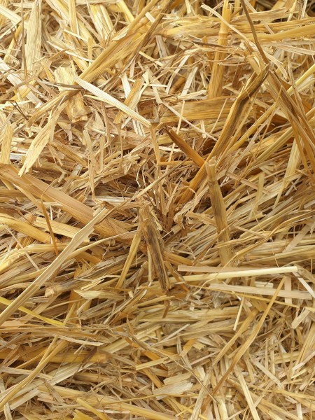 Oaten Straw 8x4x3 Bales