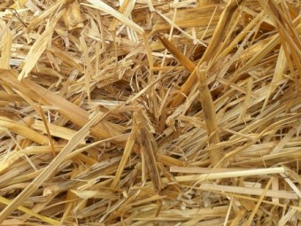 Oaten Straw 8x4x3 Bales