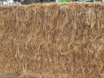 Oaten Straw 8x4x3 Bales