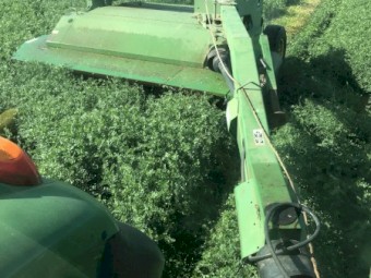 100mt Vetch Hay 5x4 Bales