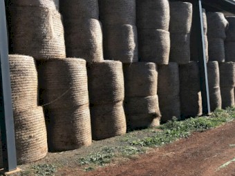 100mt Vetch Hay 5x4 Bales