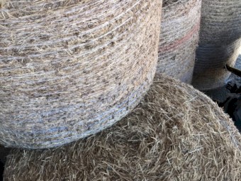 100mt Vetch Hay 5x4 Bales