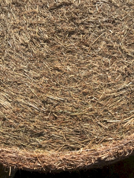 Sub Clover & Ryegrass Round Bales Shedded