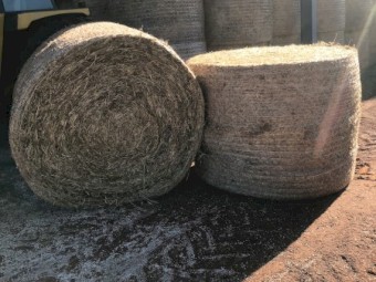 Sub Clover & Ryegrass Round Bales Shedded