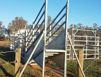 Yardsman C55 Cattle Yard with 600 Series Yardsman Crush with Adjustable Ramp