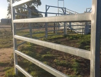 Yardsman C55 Cattle Yard with 600 Series Yardsman Crush with Adjustable Ramp