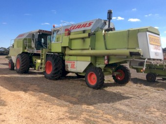 Claas Dominator 98SL Header with Front & Comb Trailer x 2