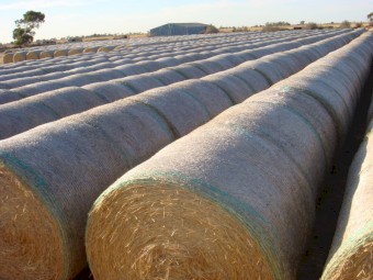 Oaten Hay 5x4 Rolls