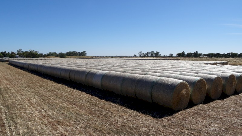 Rye Grass / Clover Hay 5x4 Rolls