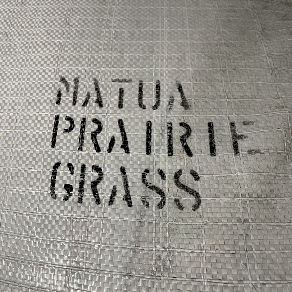 Matua Prairie Grass | Farm Tender